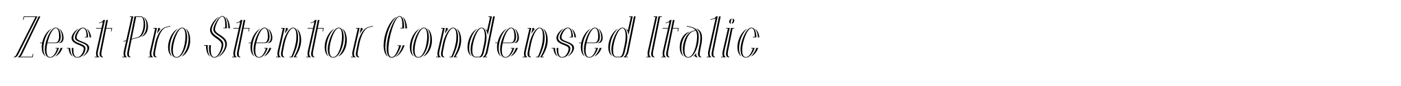 Zest Pro Stentor Condensed Italic image